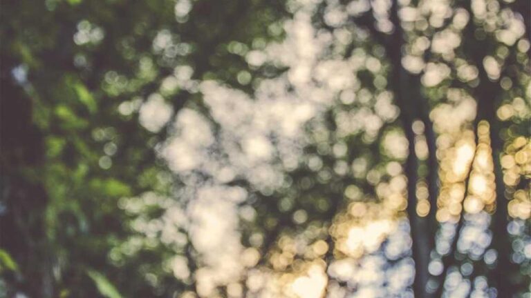 What Do Users Mention In 99Exch Scam Review Complaints?