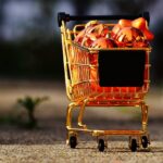 Reddybook Review: Features, Benefits, and How It Integrates with 11xplay for Modern Learning